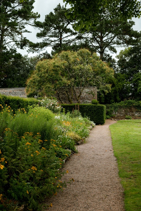 A gravel path between a lawn and planted borders